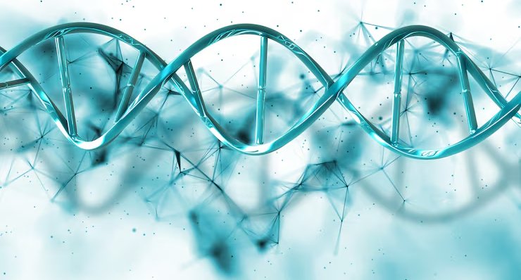 Reprezentare polinucleotide